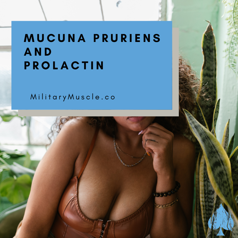 Mucuna Pruriens and Prolactin