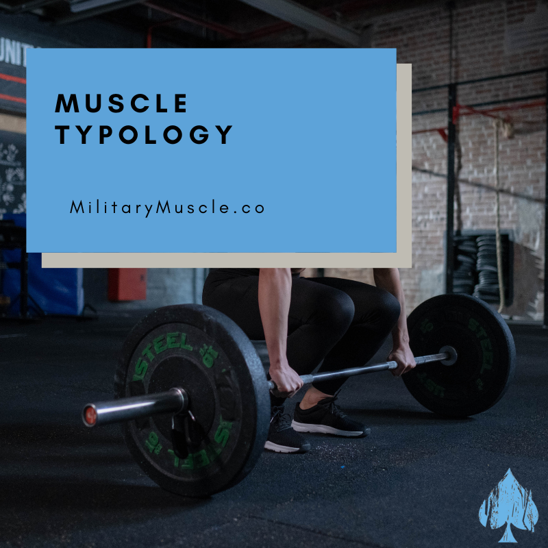 How Muscle Typology Influences the Number of Repetitions to Failure