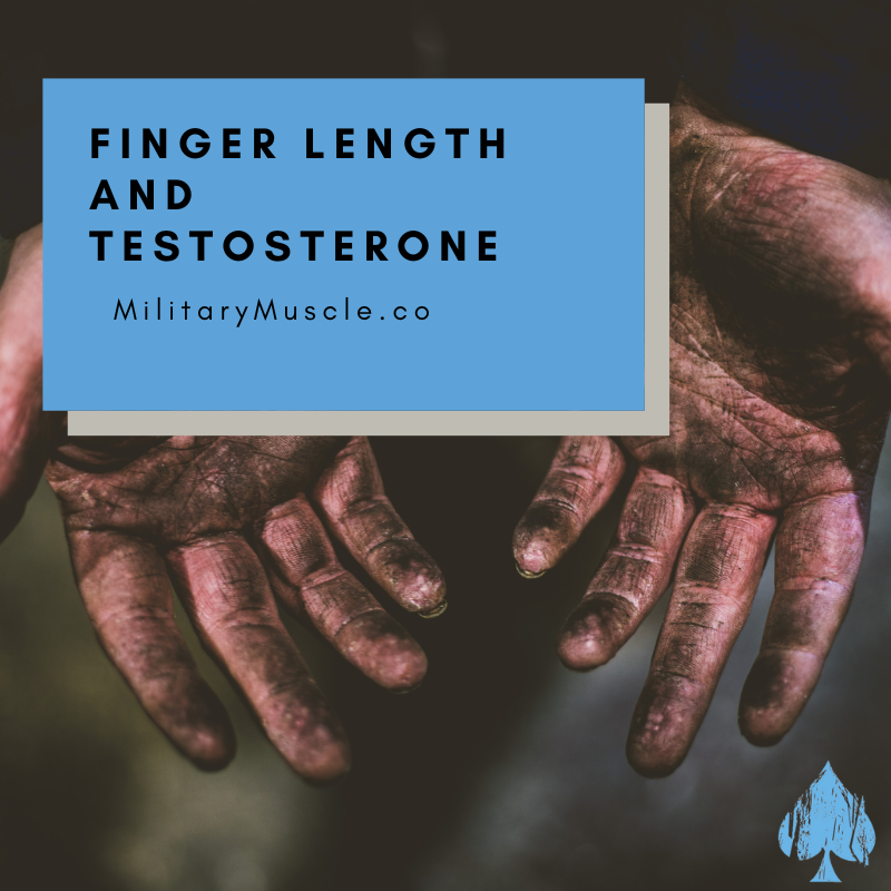 Index Finger Testosterone