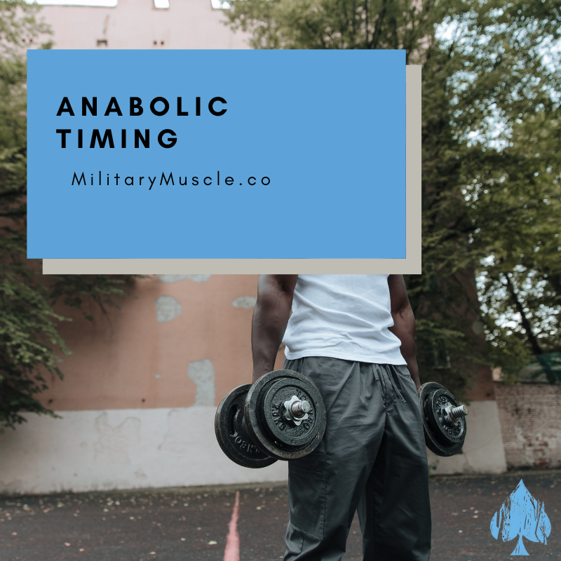 Anabolic Period
