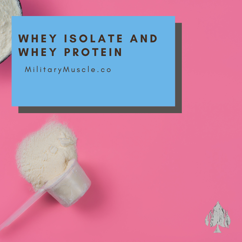Exploring the Key Differences Whey Isolate vs. Whey Protein Military Muscle Tactical Nutrition