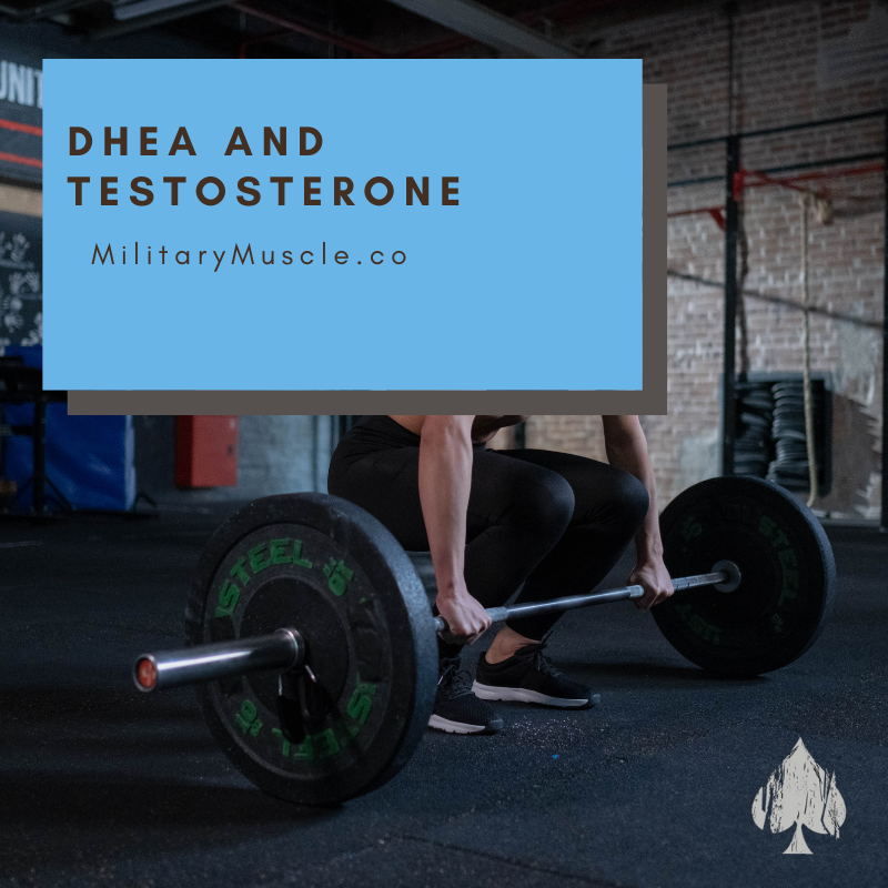 DHEA and Testosterone