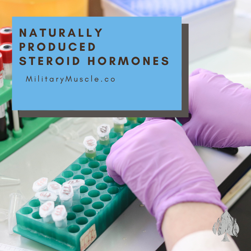 Natural Sources of Steroids