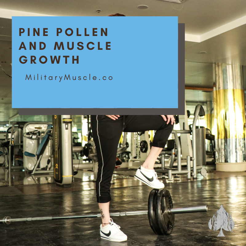 Pine Pollen Muscle Growth