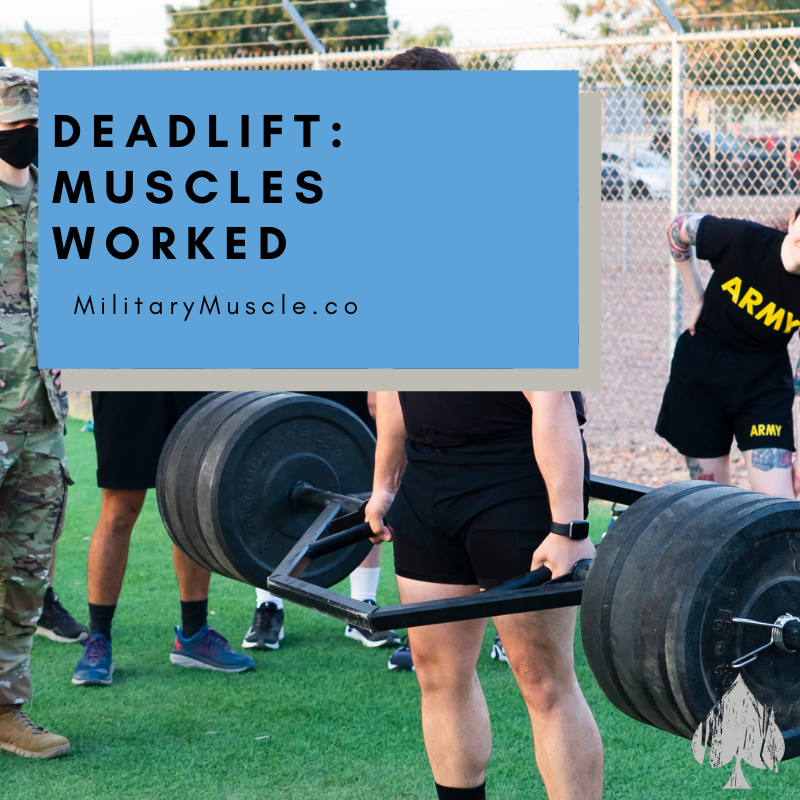 Muscles Worked during the Deadlift