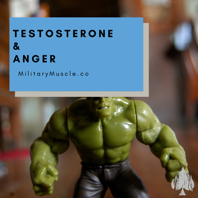 Does High Testosterone Cause Aggression? – Military Muscle Tactical ...