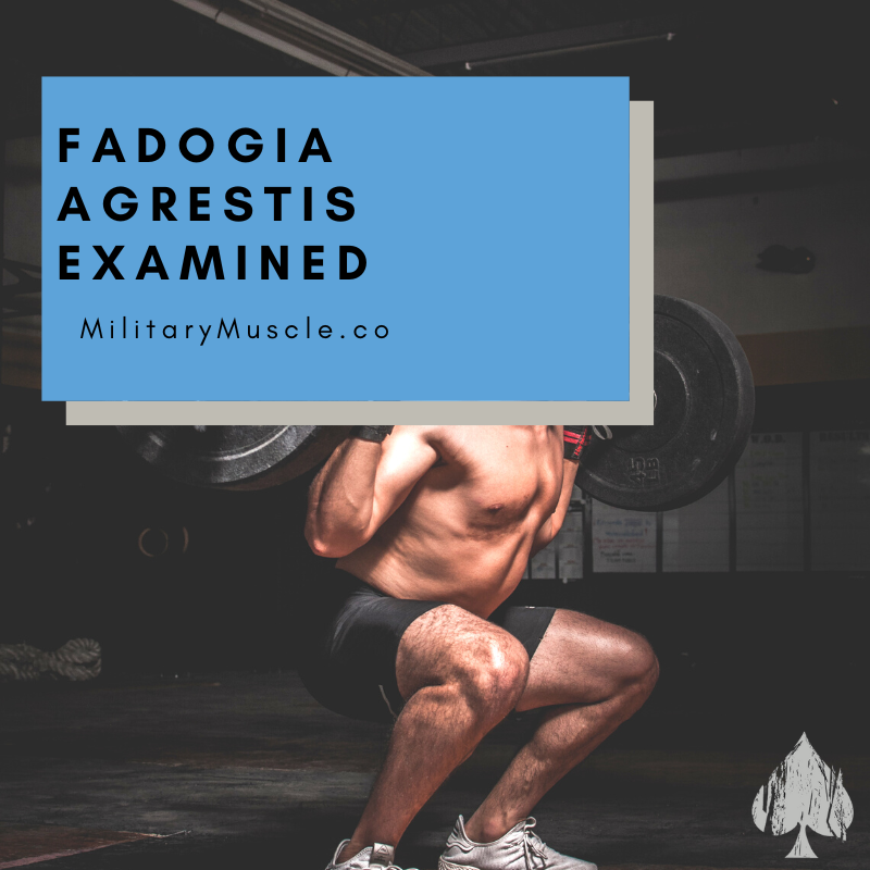 What is Fadogia Agrestis?