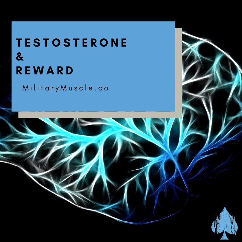 How Does Testosterone Physically Affect the Nucleus Accumens Reward Process?