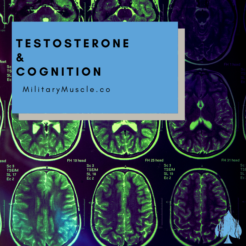 Does Testosterone Make You Smarter?