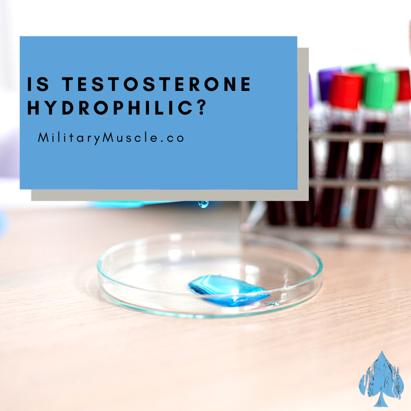 Testosterone Hydrophilic
