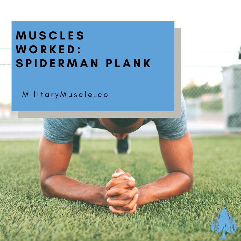 Spiderman Plank Muscles Worked