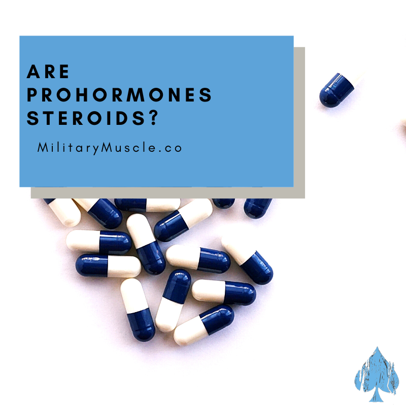 Are Prohormones Steroids?