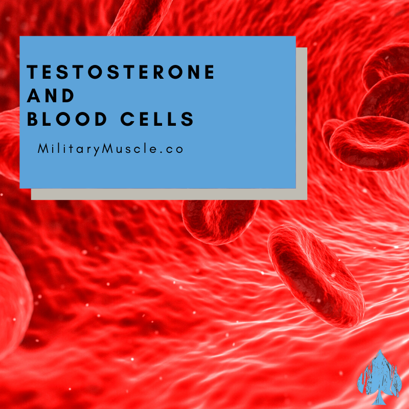 Erythrogenic Effects of Testosterone