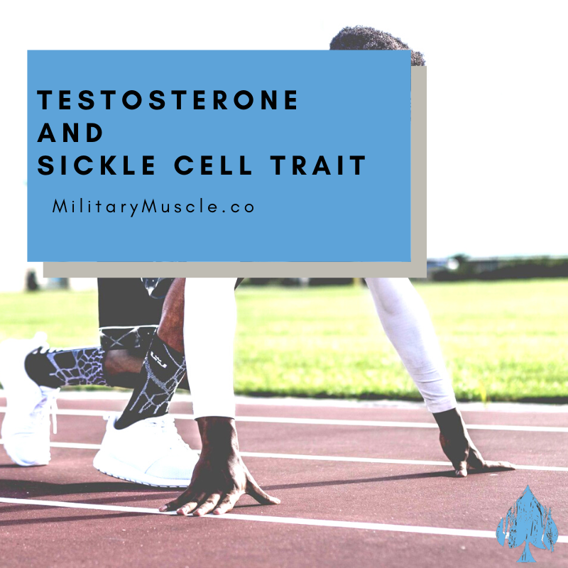 testosterone and sickle cell trait