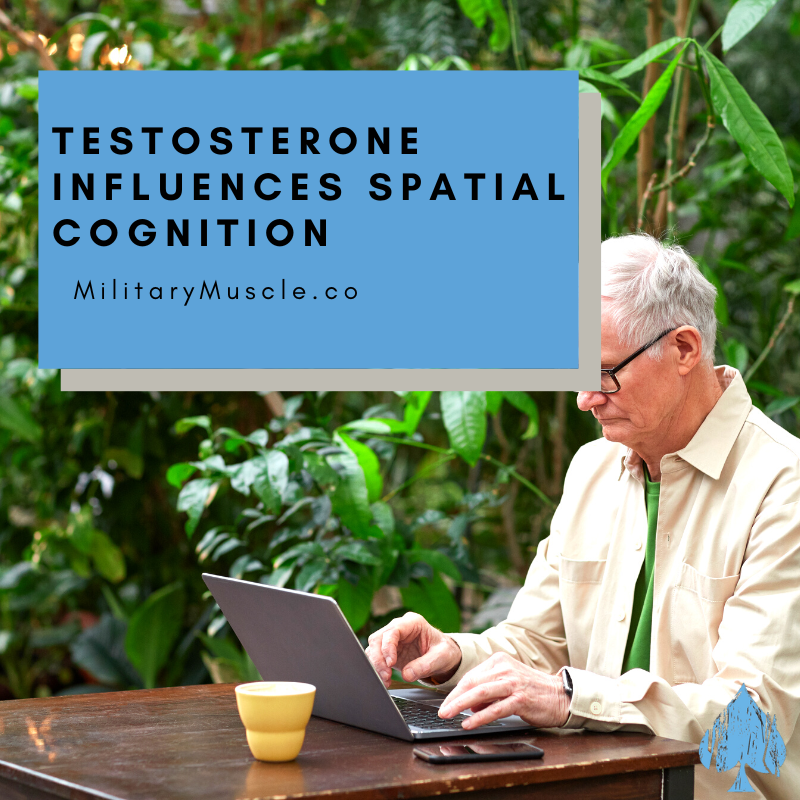 Testosterone Influences Spatial Cognition in Older Men