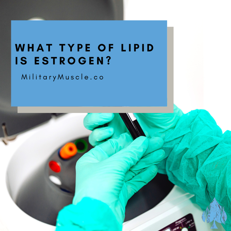 What Type of Lipid is Estrogen?