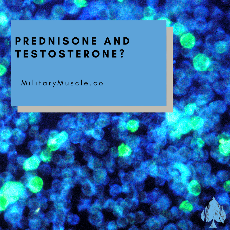 Can Prednisone Affect Testosterone Levels?