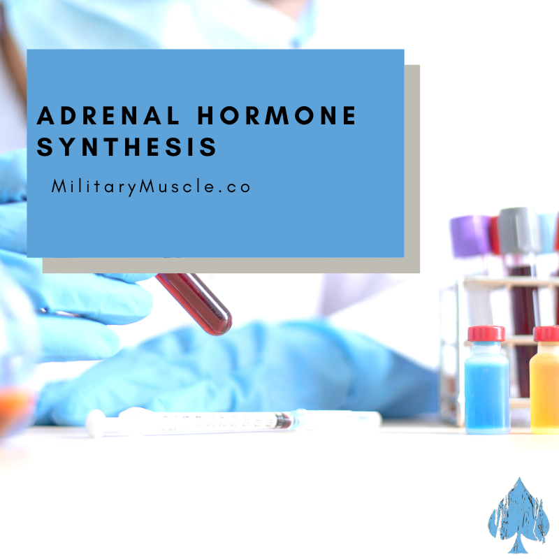 Adrenal Hormone Synthesis