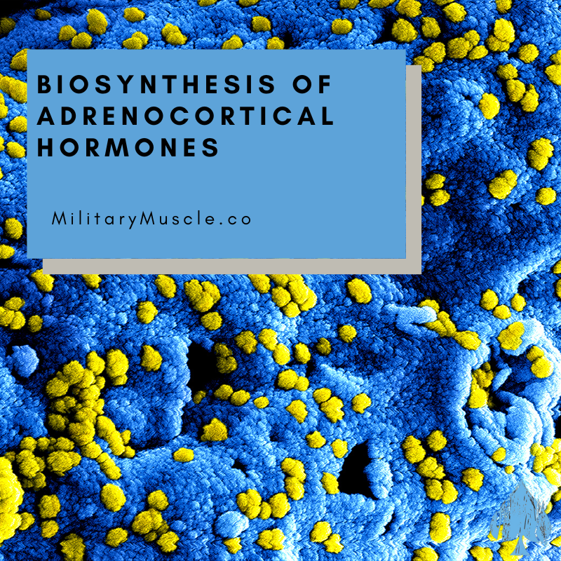 Biosynthesis of Adrenocortical Hormones