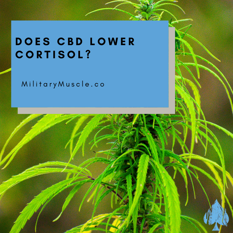 Does CBD lower cortisol?