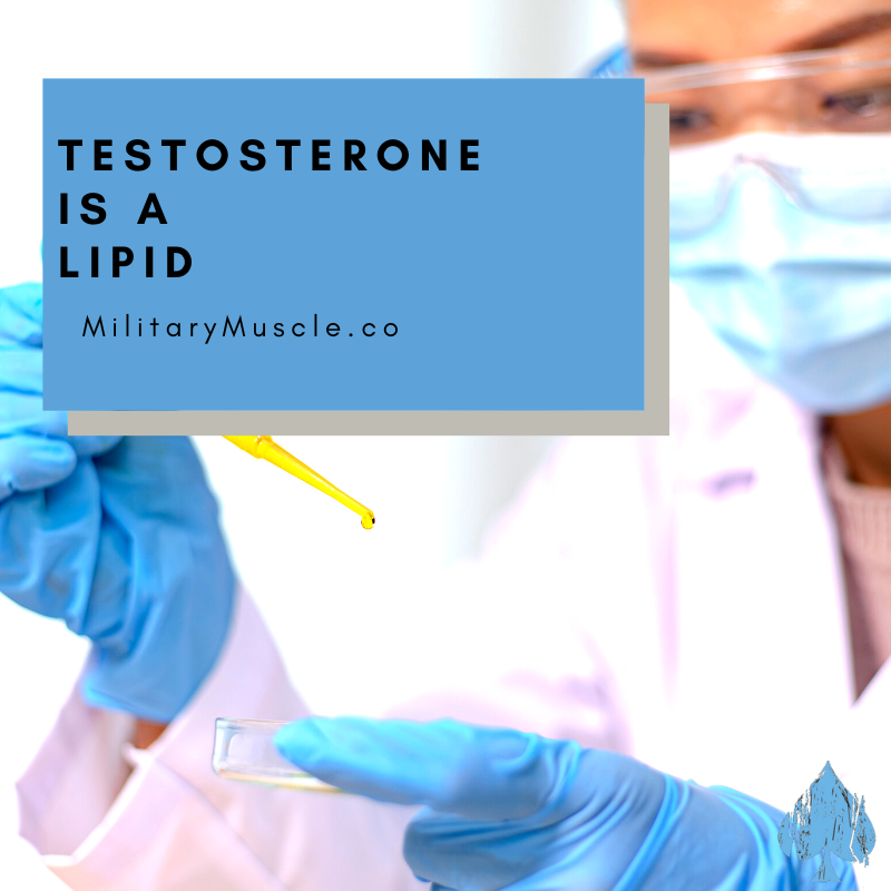 Is Testosterone a Protein or a Lipid?