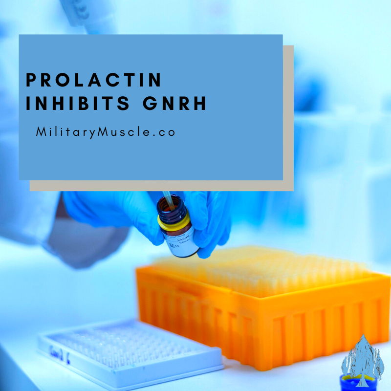 Prolactin Inhibits GnRH