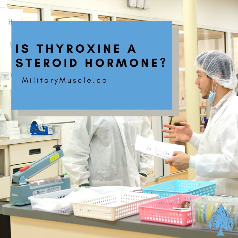 Is Thyroxine a Steroid Hormone?