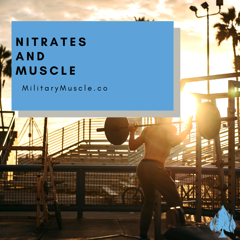 Are Nitrates Good for Muscle Growth?