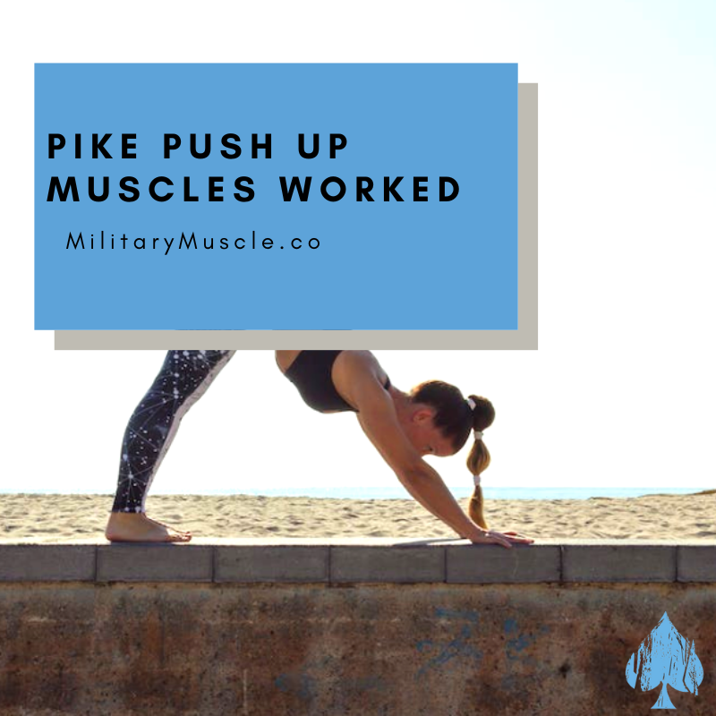Pike Push Up Muscles Worked