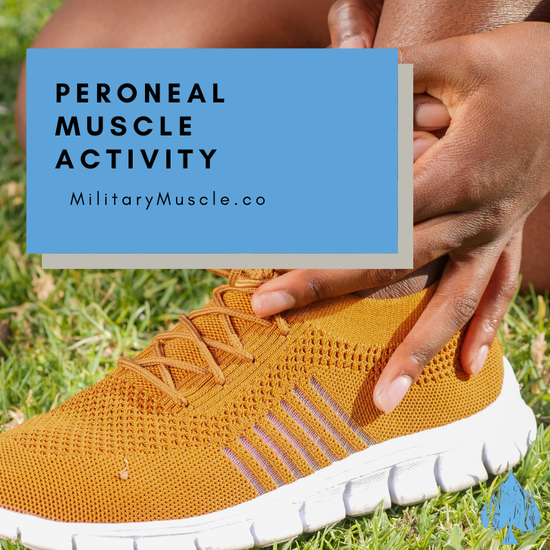 Peroneal Muscle Activity During Stable and Unstable Load Exercises