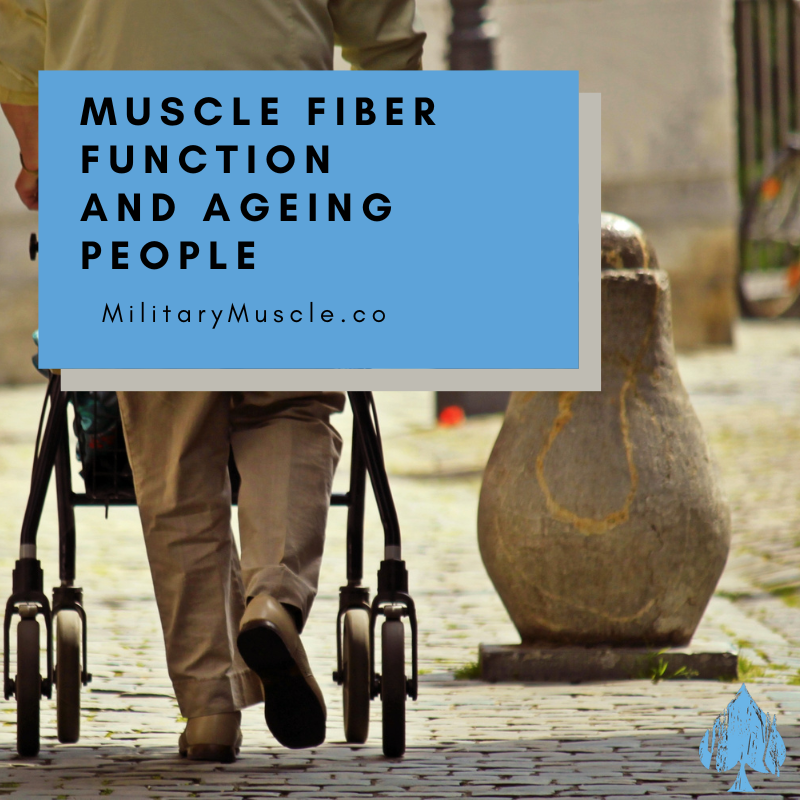 Single Muscle Fibre Contractile Function With Ageing