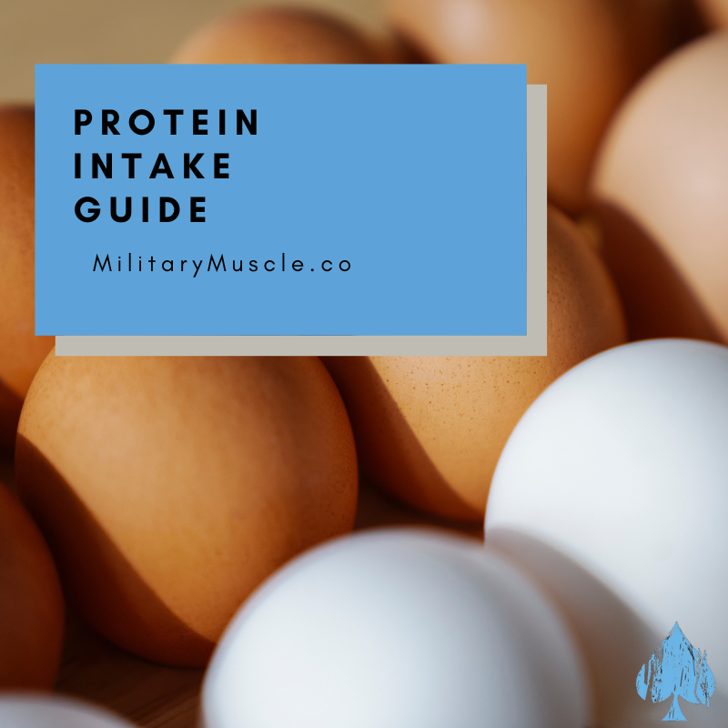 How much protein can the body use in a single meal for muscle-building