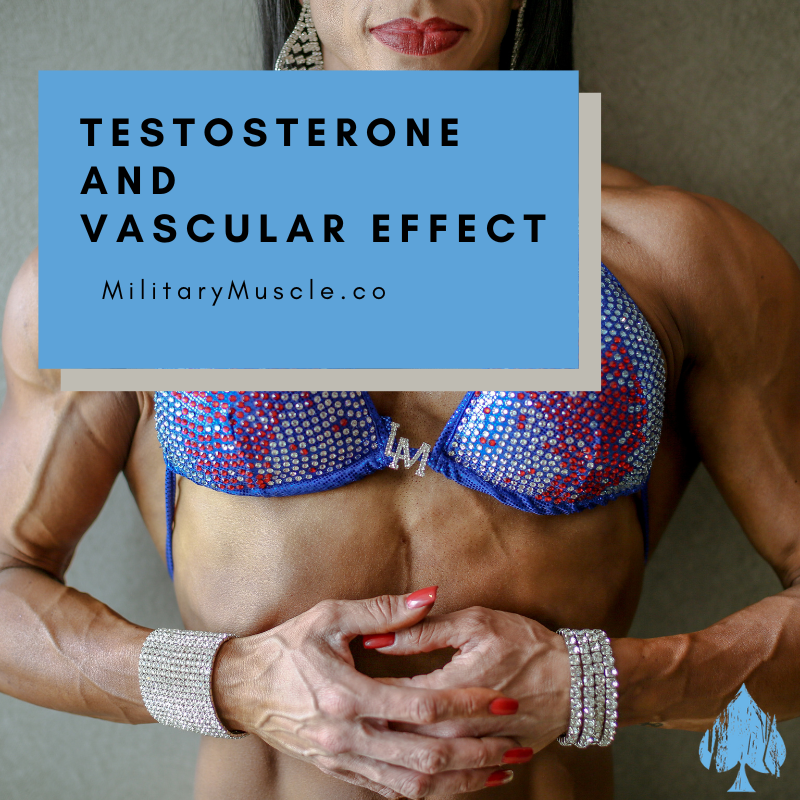 Testosterone As a Modulator of Vascular Behavior