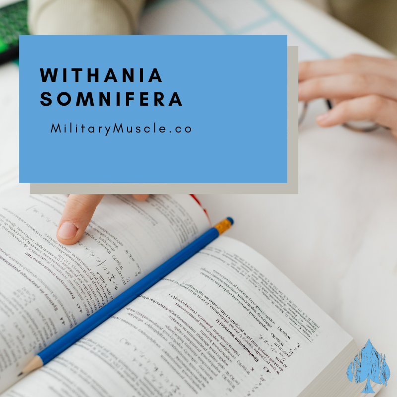 What is Withania Somnifera?