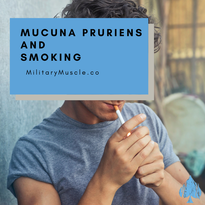 Mucuna Pruriens Quit Smoking