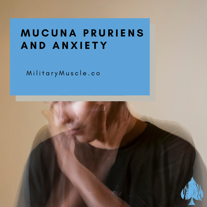 Can Mucuna Pruriens Cause Anxiety?