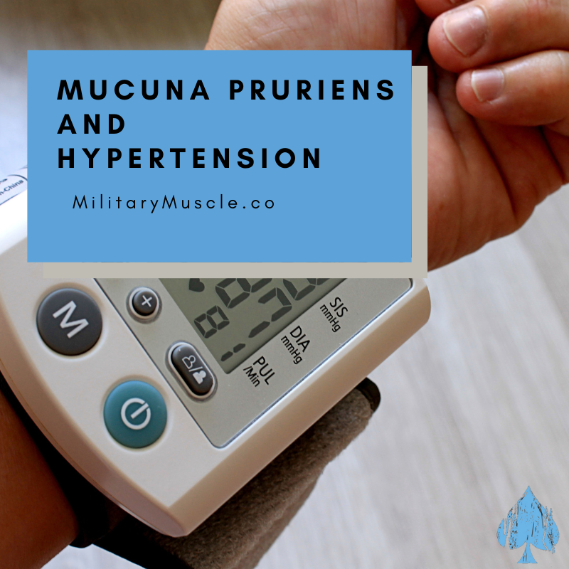 Does Mucuna Pruriens Raise Blood Pressure?