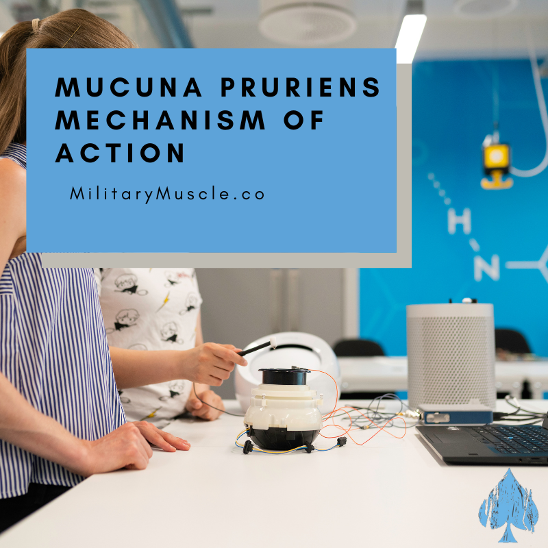 Mucuna Pruriens Mechanism of Action