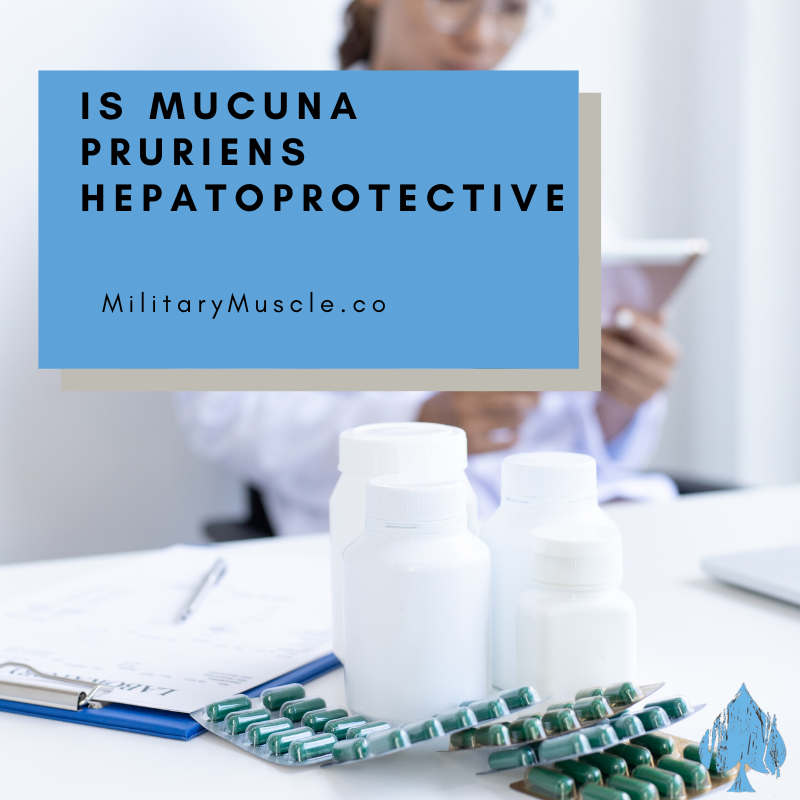 Mucuna Pruriens Liver