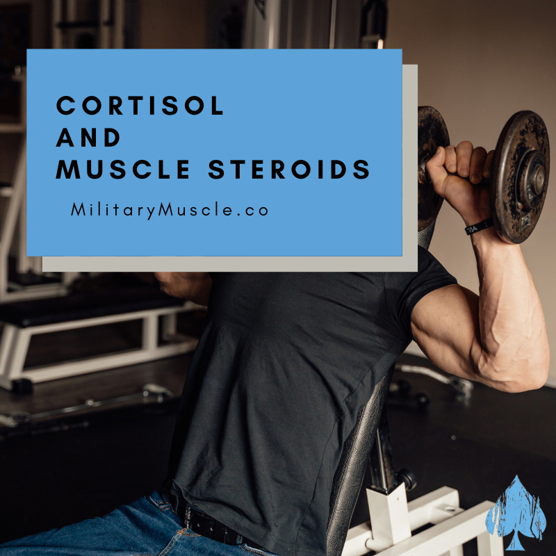 Acute Changes in Cortisol and Muscle Steroids in Resistance-Trained Males