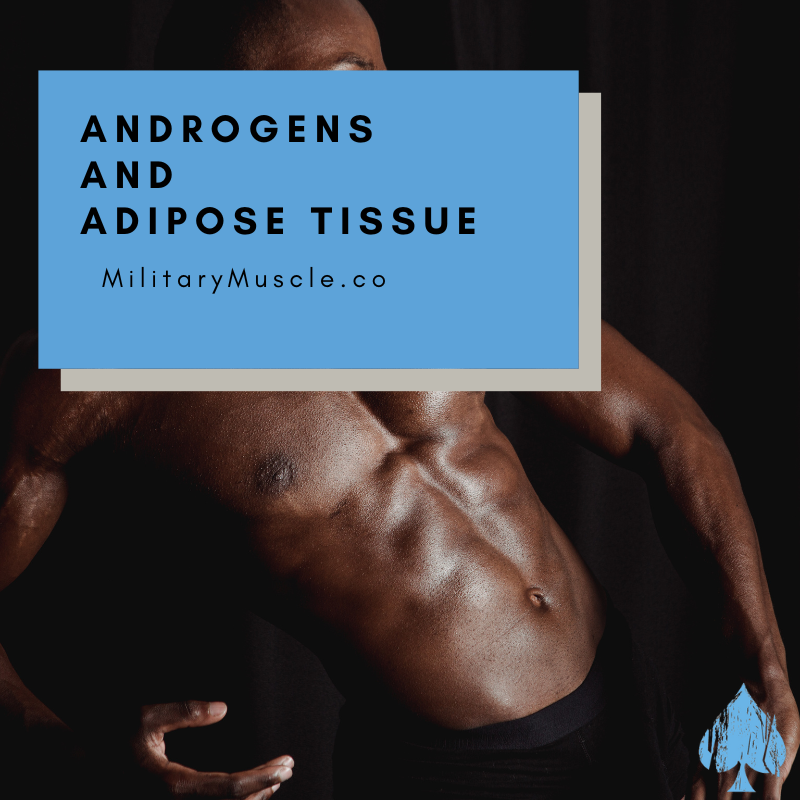Androgens and Adipose Tissue
