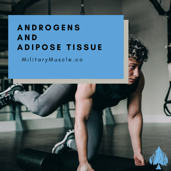 The Effect of Exercise Training on Testicular Function
