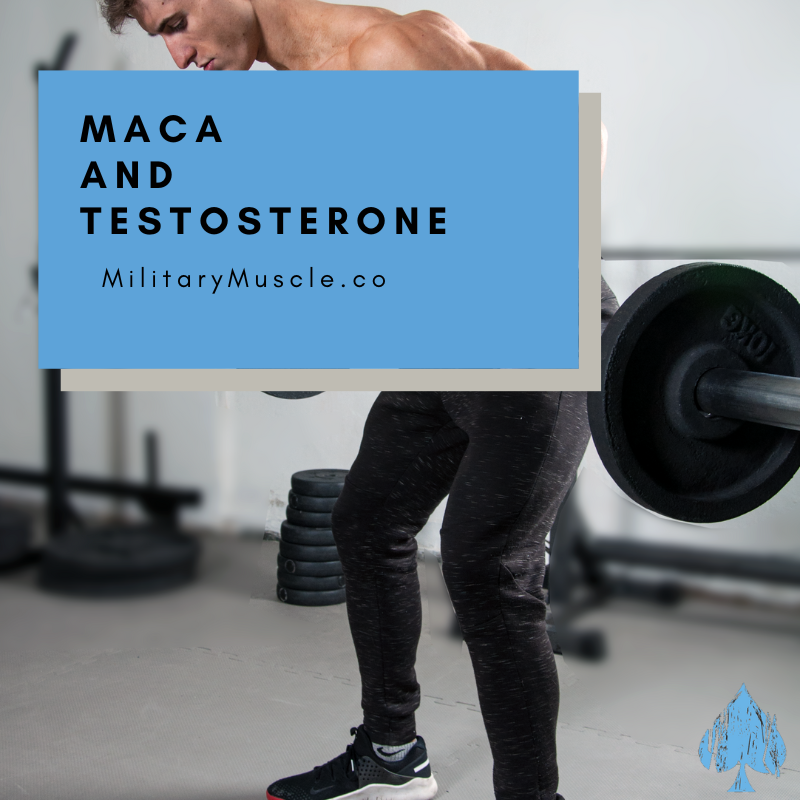 Does Maca Boost Testosterone?