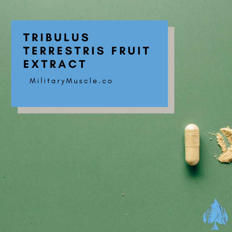 Tribulus Terrestris Fruit Extract