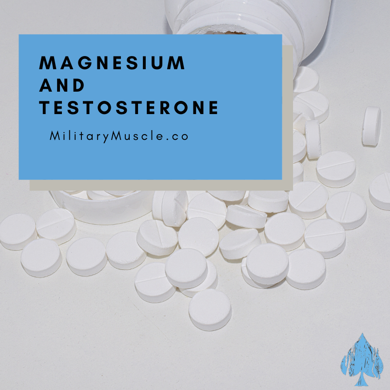 Magnesium Increases Testosterone