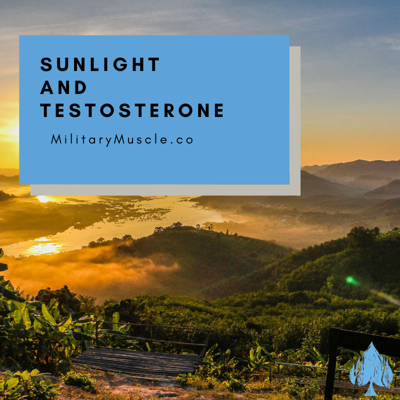 Sunlight Increase Testosterone