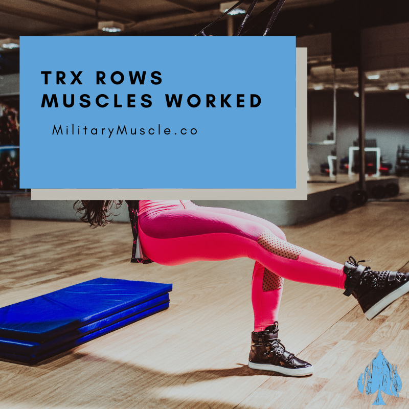 TRX Rows Muscles Worked