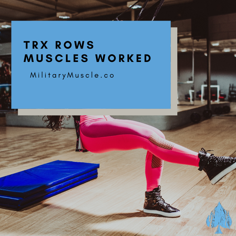 Understanding the Muscles Targeted in TRX Rows – Military Muscle ...