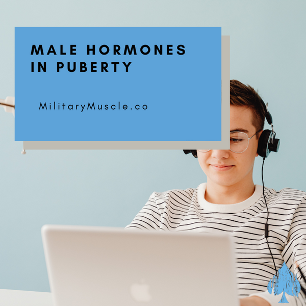 Male Hormones in Puberty