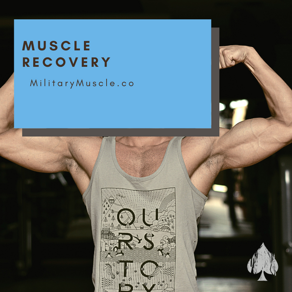 Importance of Muscle Recovery